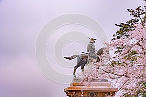A statue of Masamune Date on horseback entering Sendai Castle in full bloom cherry blossom, Aobayama Park, Sendai, Miyagi, Japan photo